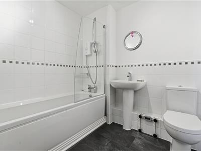 Picture 15